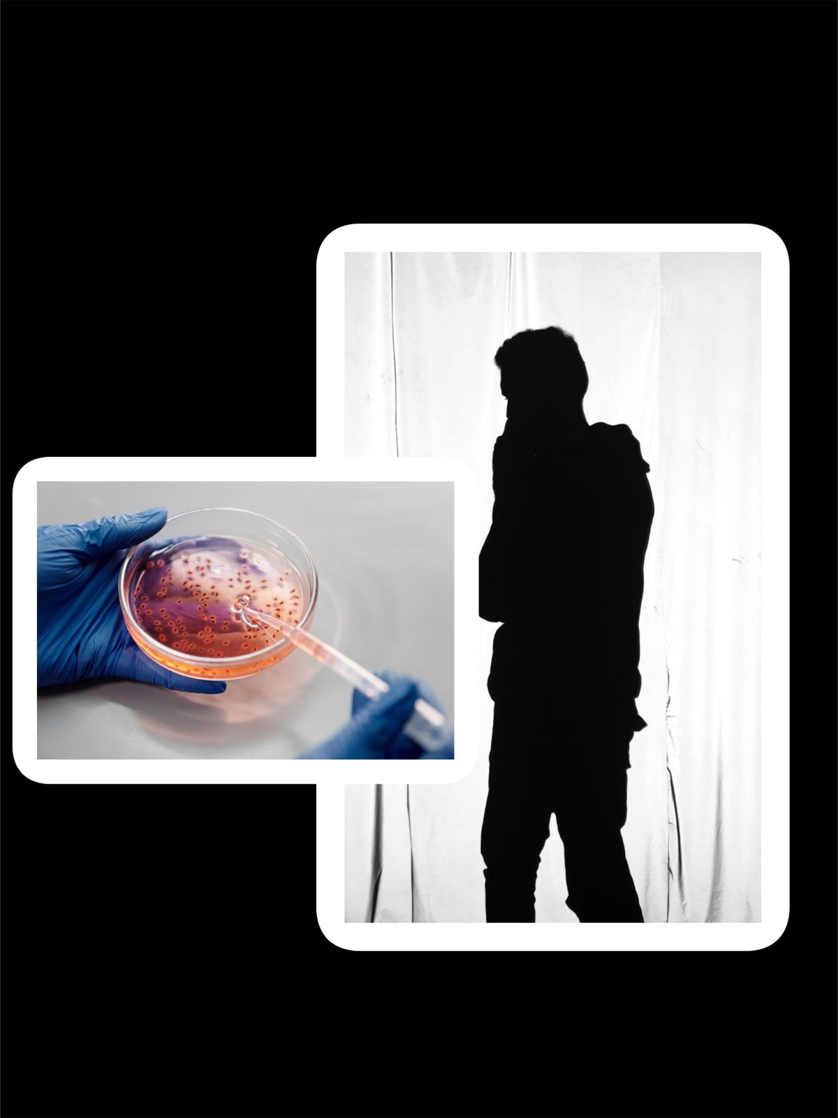Recurring visual representation of Donor 11 showing an anonymous human silhouette alongside a laboratory culture dish.